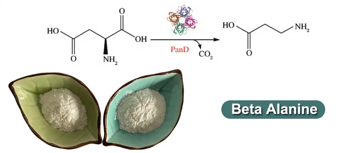 Beta Alanine Factory.jpg